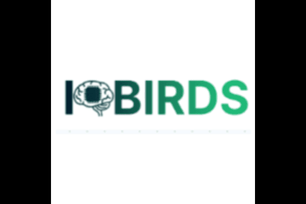 IQbirds